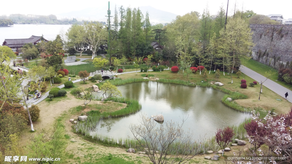 风景