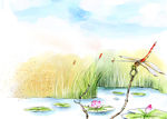 背景墙纸