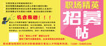 职场精英招募帖