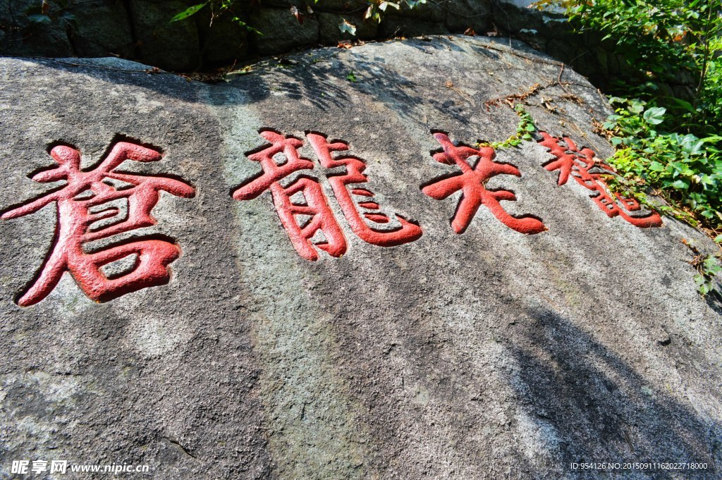 鳌老龙苍