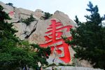 百寿图