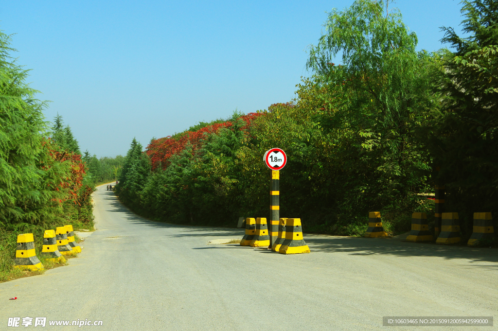 西安园林 景区道路