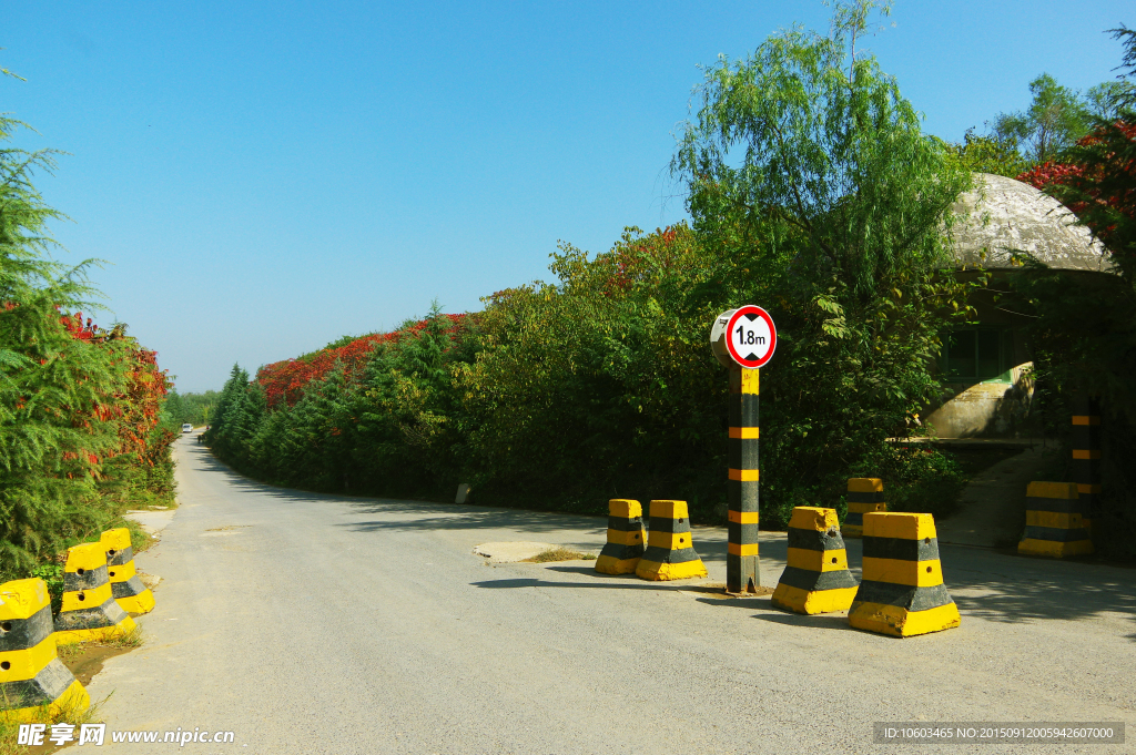 西安园林 景区道路