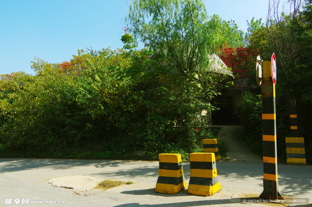 西安园林 景区道路