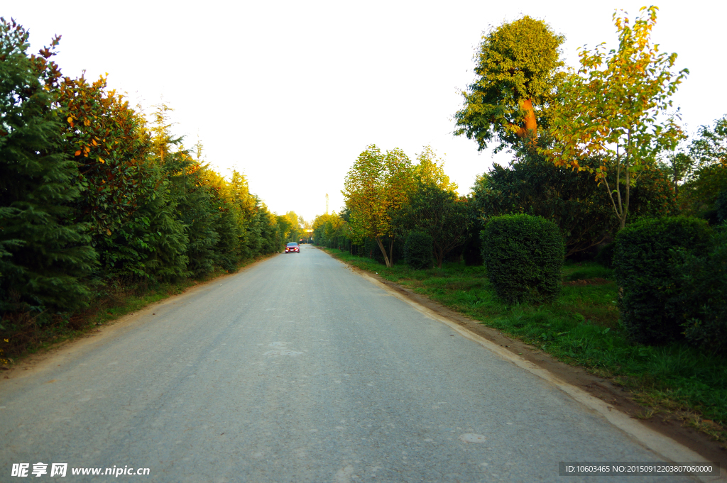 高原公路