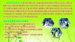 虚拟现实技术