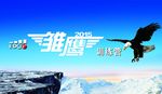雏鹰计划