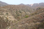 荒山