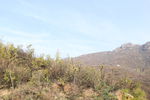 荒山野岭