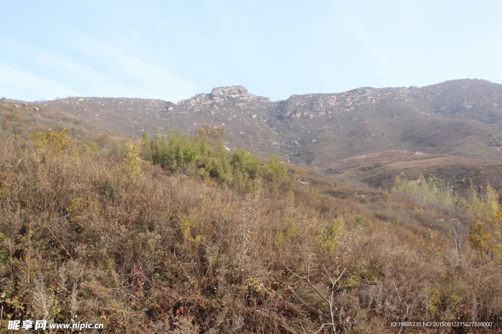 荒山野岭