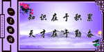 心灵丝语 图书馆展板