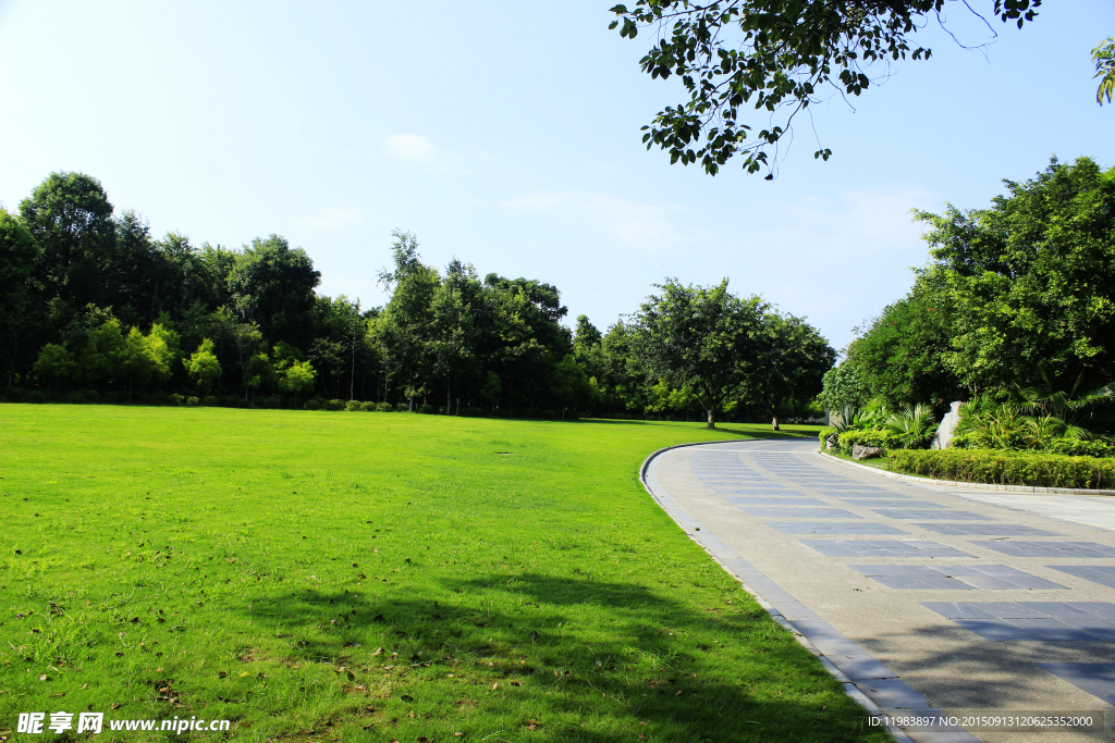 訾洲公园草地道路