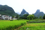小山村田园风光