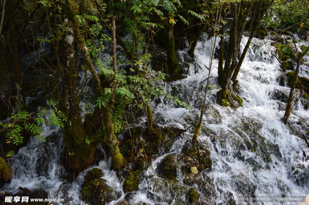 溪水 山水