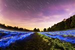 流星