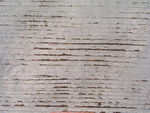 木纹 纹理