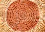 木材   木纹  质感  背景
