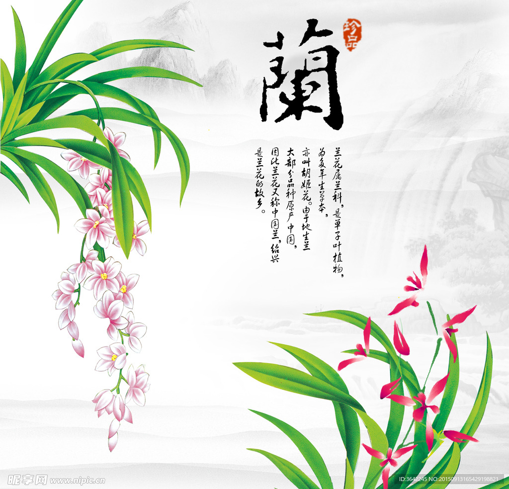 兰