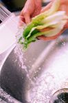 洗菜