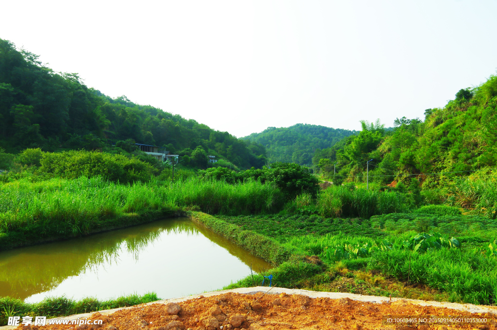 乡村山水 山村田园