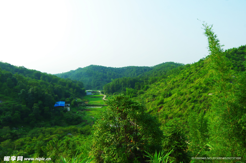 乡村旅游 山坑田园