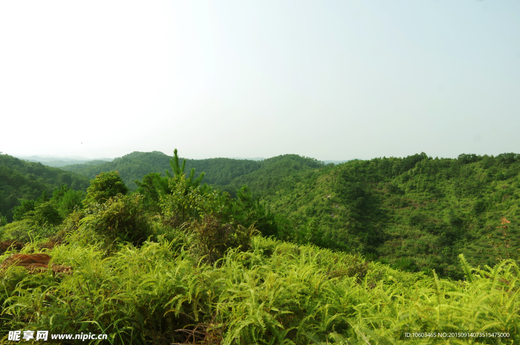 宁静山水 空山鸟语