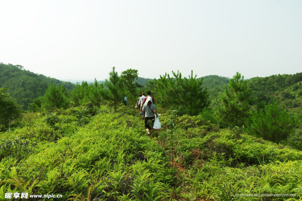 乡村旅游 旅游山水