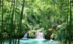 竹林山水风景