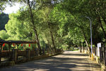 乡间小路