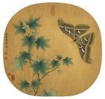 古风类花鸟工笔画临宋青枫巨蝶图