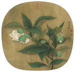 古风类花鸟工笔画临宋夜合花图