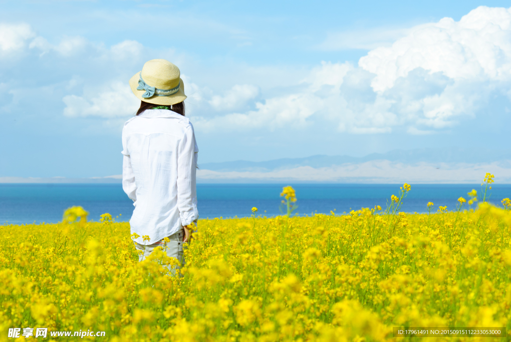 美女花海