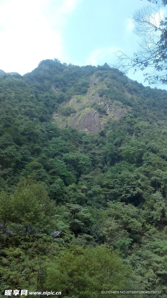 山