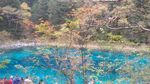 青山绿水