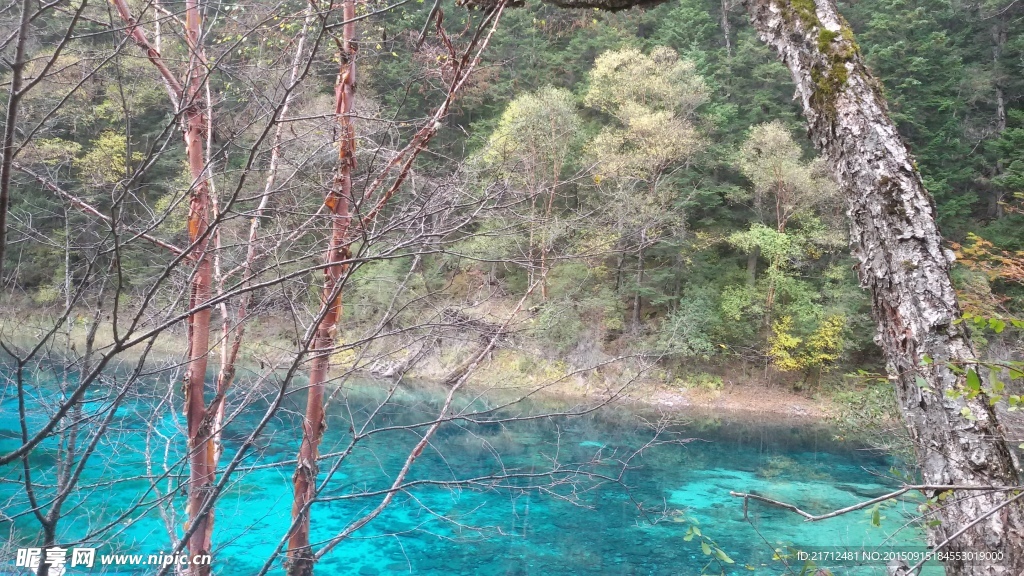 青山绿水