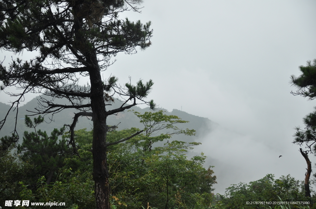 庐山雾景