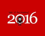 2016设计