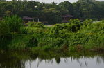 湖景