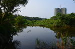 湖景楼盘