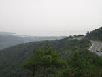 山坡