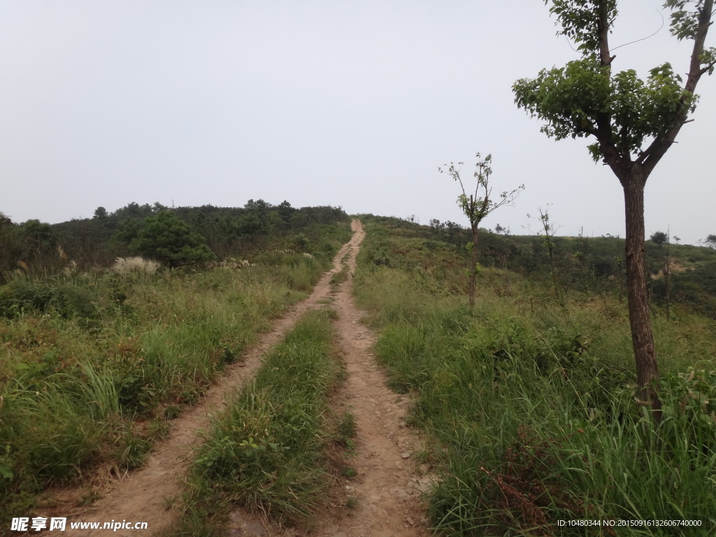 上山的路