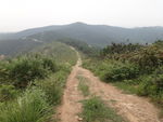 山路