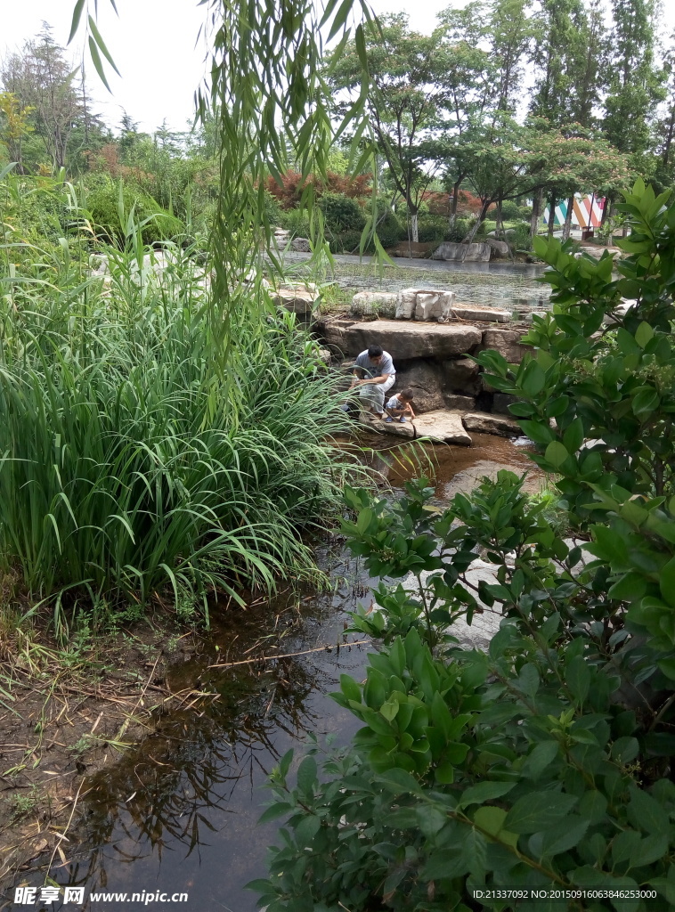 小溪流水
