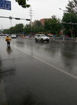雨中
