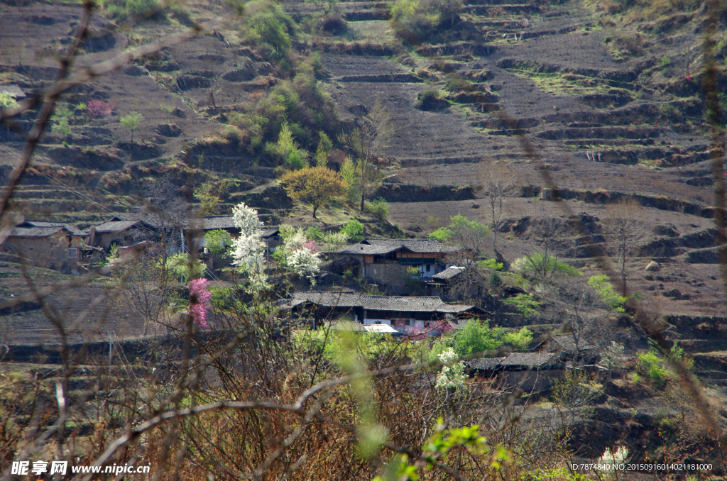 牛背山风光