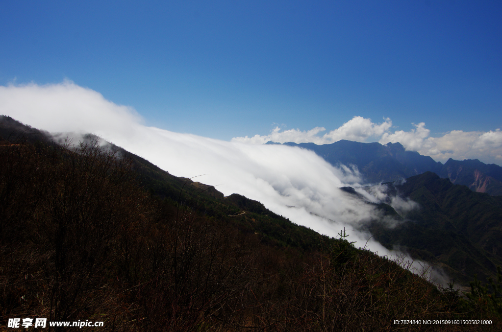 牛背山云海