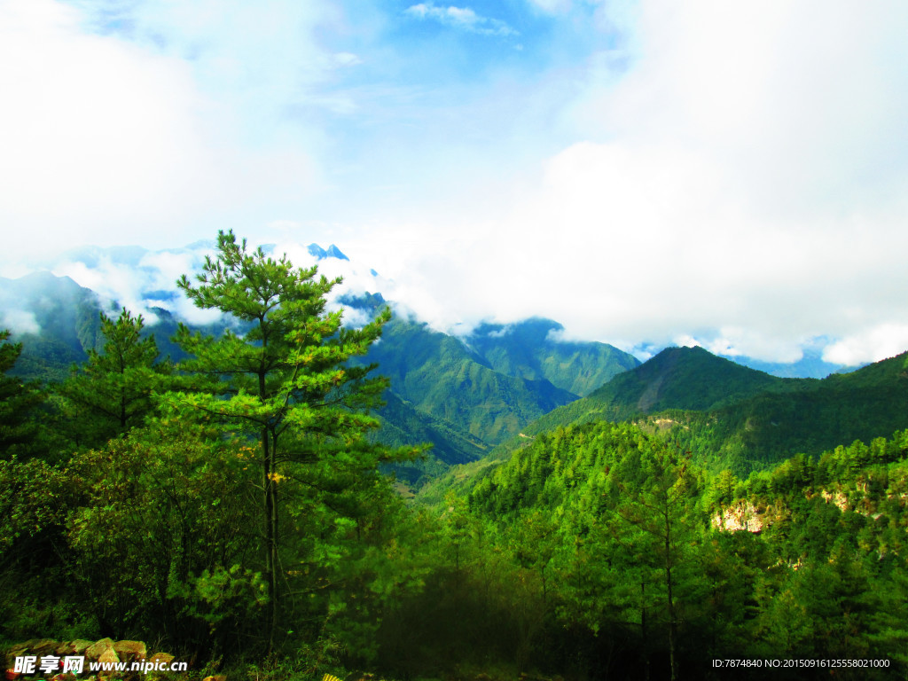 牛背山风光