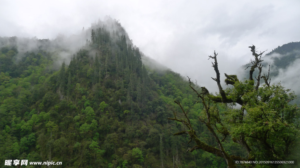 牛背山风光