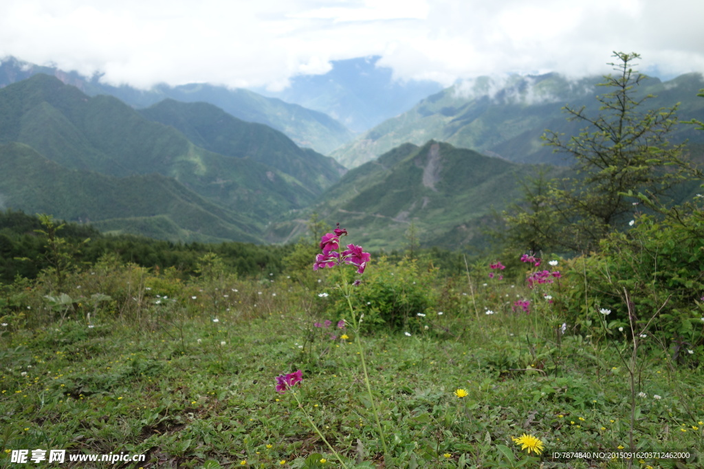 牛背山风光