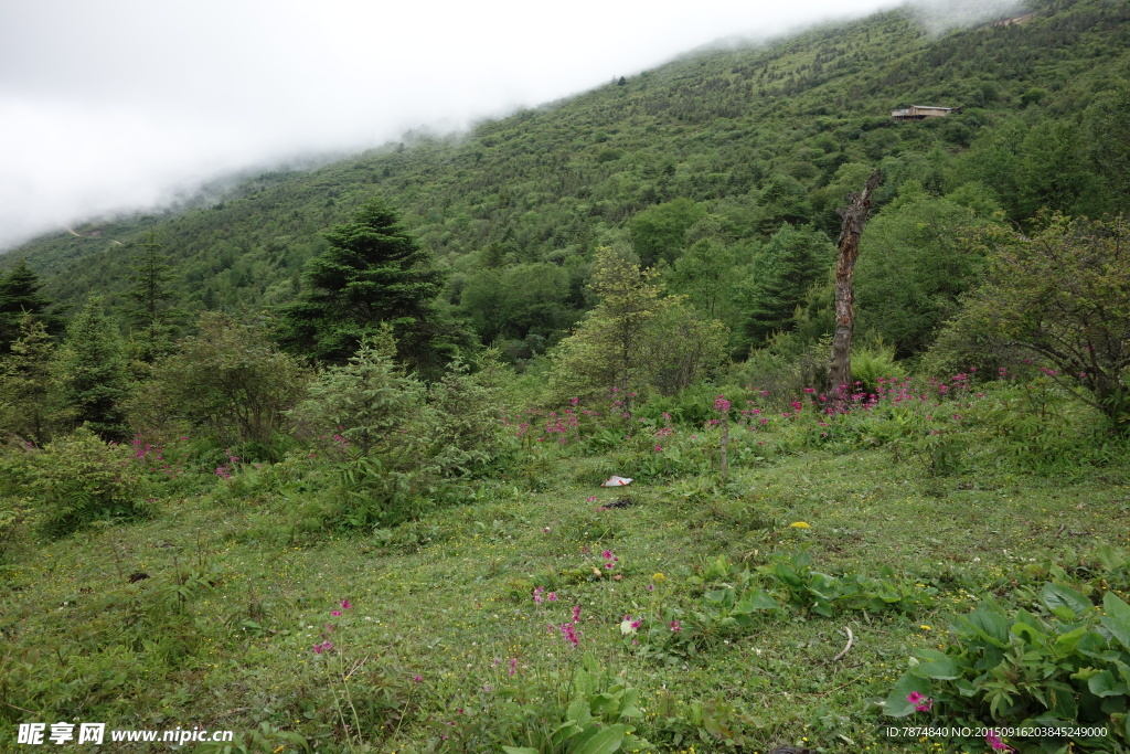 牛背山风光